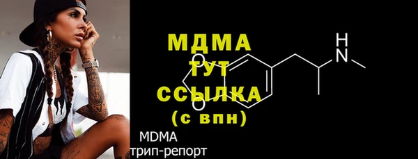 PSILOCYBIN Алзамай