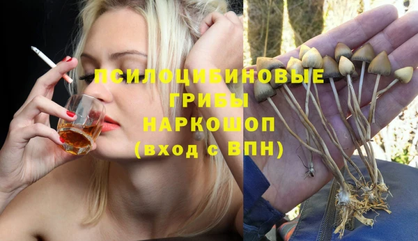 PSILOCYBIN Алзамай