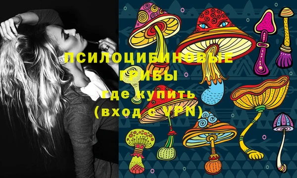 шишки Армянск