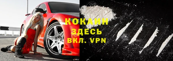 метадон Алексин