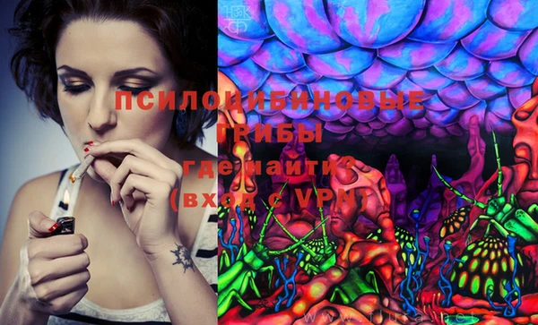 PSILOCYBIN Алзамай
