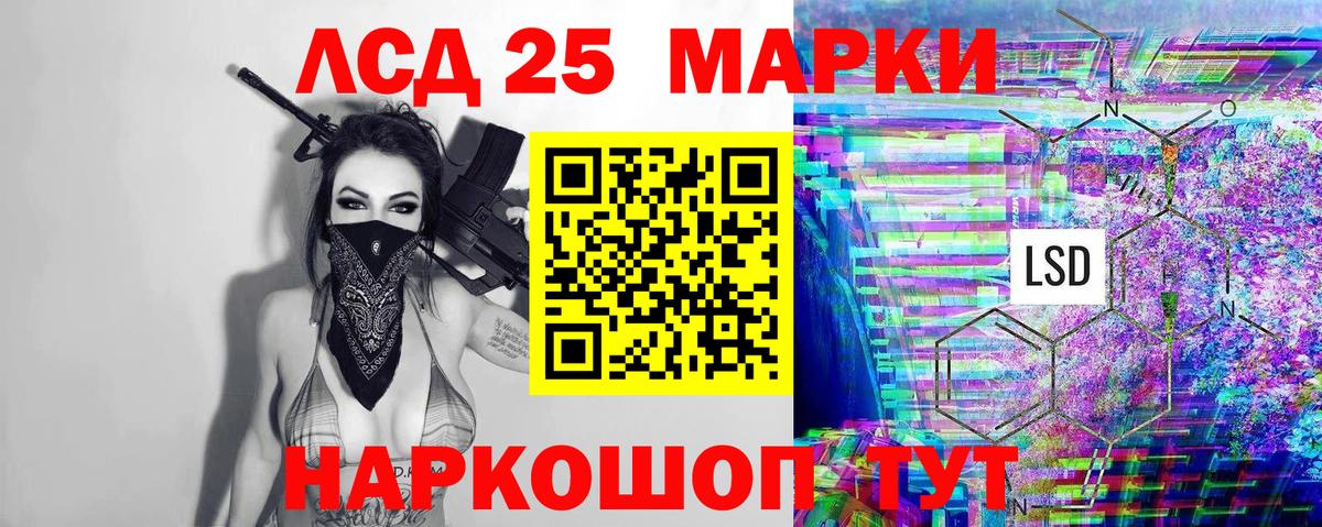 Галлюциногенные грибы Волхов