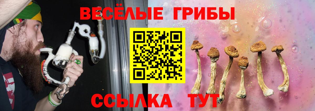 Галлюциногенные грибы Psilocybe Волхов