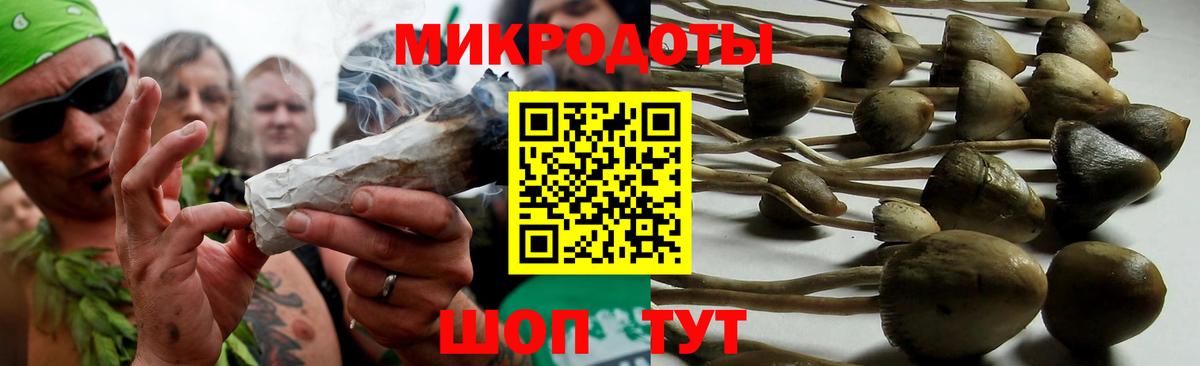 Псилоцибиновые грибы Cubensis Волхов