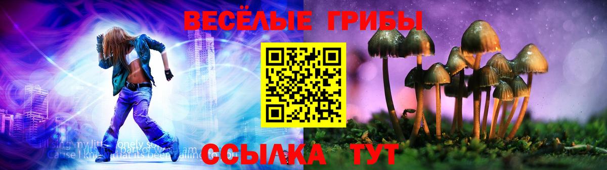 Псилоцибиновые грибы Psilocybe  Вход с VPN  закладки  Волхов 